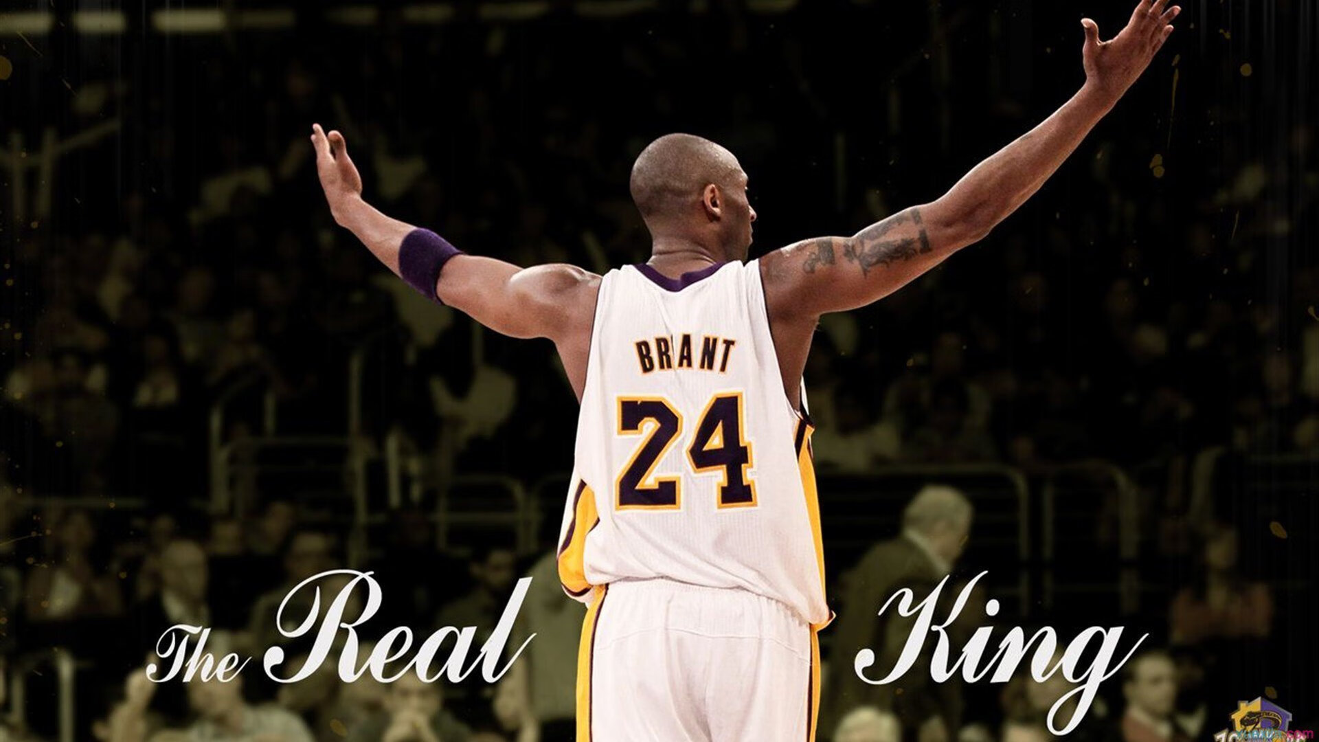 开云体育安全平台-TL与知名品牌联合推出电竞服饰，t rex电竞官网