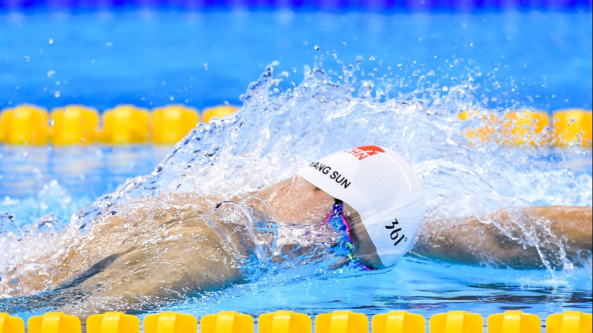 塞内加尔马术协会与国际马术联合会合作,举办国际马术交流活动,促进技术交流。